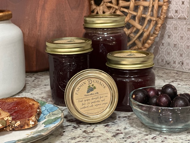 Organic Muscadine Jelly – Honey Sweetened, Small Batch
